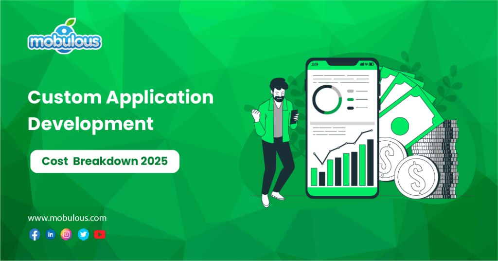 Custom Application Development Cost Breakdown