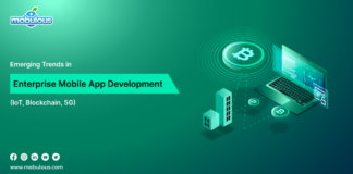 Enterprise Mobile App Development