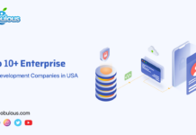 Top Enterprise App Development USA