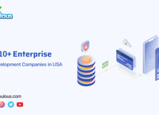 Top Enterprise App Development USA