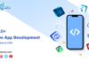 Native App Development Compnies USA