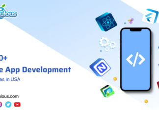 Native App Development Compnies USA