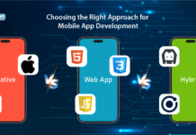 Native vs Hybrid vs Web Apps