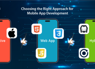 Native vs Hybrid vs Web Apps