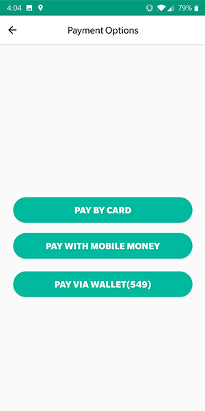 Fitviu Payment